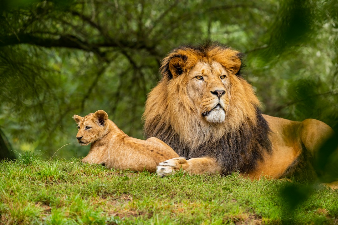 5 Vacation Ideas You Haven't Considered 3 img