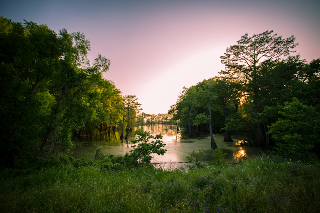 Best Weekend Getaways in Mississippi 1 img