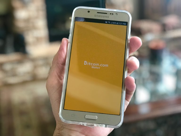 a person holding a phone