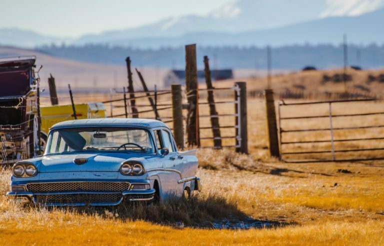 a car in a field