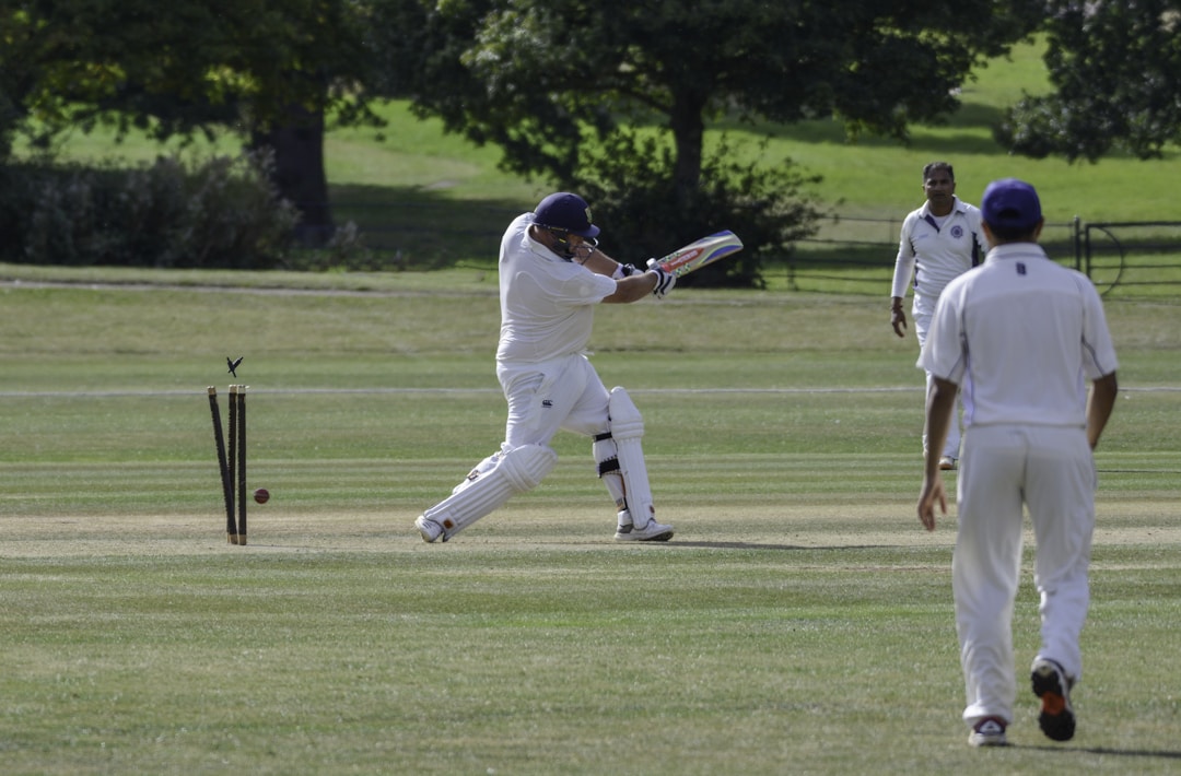 Beginner’s Guide to Cricket Bats: Everything You Need To Know 2 img