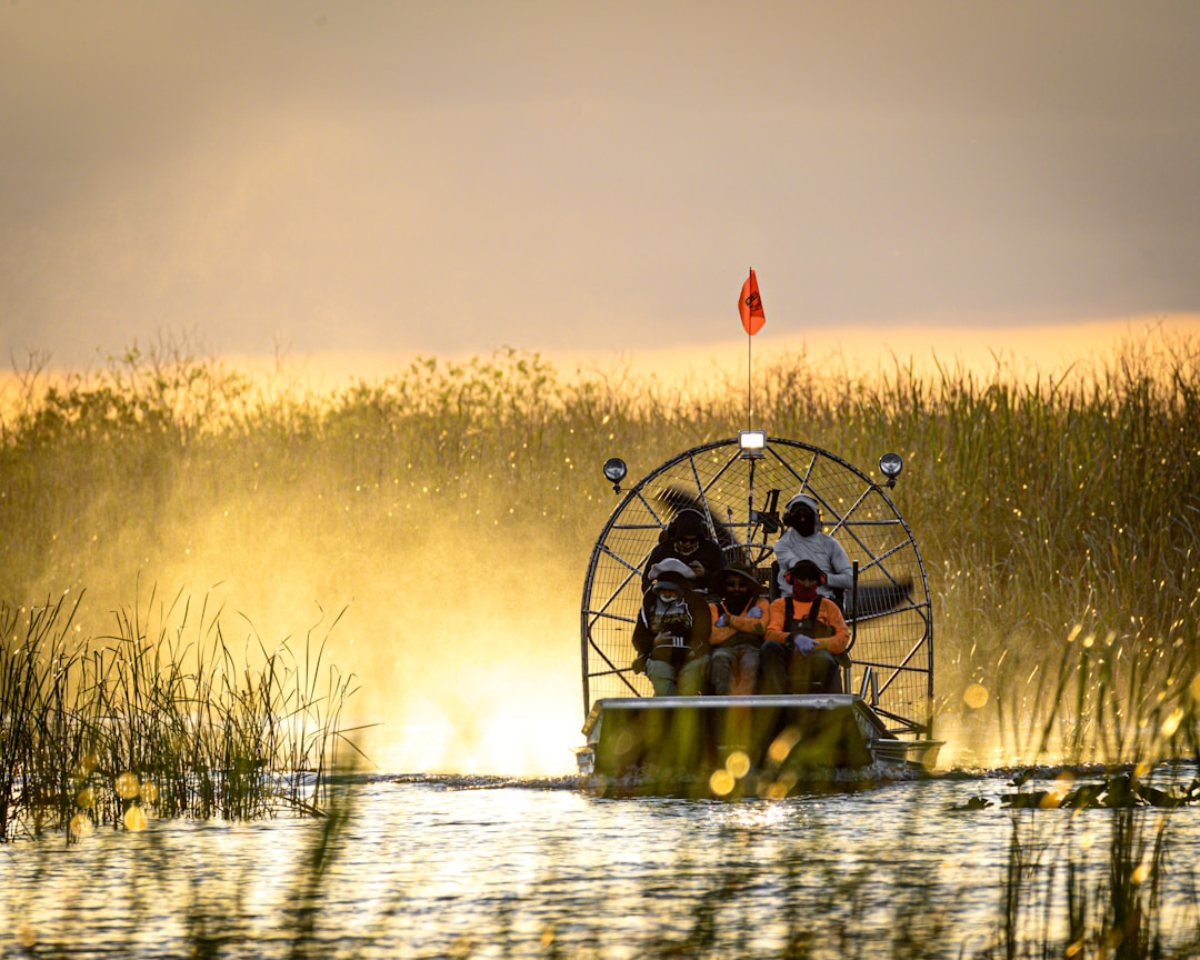 Glide Through the Wild: Seeing the Everglades by Airboat 1 img
